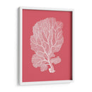 Corales Blancos En Coral C - Fab Funky | Cuadro decorativo de Canvas Lab