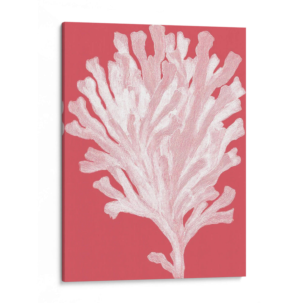 Blanco Corales En Coral D - Fab Funky | Cuadro decorativo de Canvas Lab