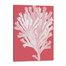 Blanco Corales En Coral D - Fab Funky | Cuadro decorativo de Canvas Lab