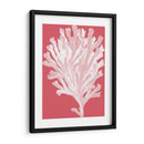 Blanco Corales En Coral D - Fab Funky | Cuadro decorativo de Canvas Lab