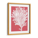 Blanco Corales En Coral D - Fab Funky | Cuadro decorativo de Canvas Lab