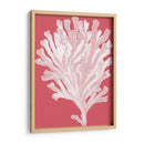 Blanco Corales En Coral D - Fab Funky | Cuadro decorativo de Canvas Lab