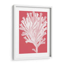 Blanco Corales En Coral D - Fab Funky | Cuadro decorativo de Canvas Lab