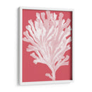 Blanco Corales En Coral D - Fab Funky | Cuadro decorativo de Canvas Lab