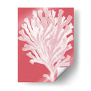 Blanco Corales En Coral D - Fab Funky | Cuadro decorativo de Canvas Lab