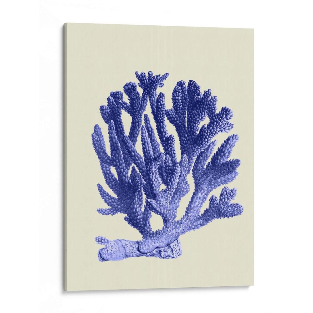 Corales Azules A - Fab Funky | Cuadro decorativo de Canvas Lab