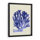 Corales Azules A - Fab Funky | Cuadro decorativo de Canvas Lab