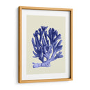 Corales Azules A - Fab Funky | Cuadro decorativo de Canvas Lab