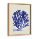 Corales Azules A - Fab Funky | Cuadro decorativo de Canvas Lab