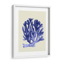 Corales Azules A - Fab Funky | Cuadro decorativo de Canvas Lab