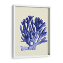 Corales Azules A - Fab Funky | Cuadro decorativo de Canvas Lab