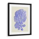 Corales Azules B - Fab Funky | Cuadro decorativo de Canvas Lab