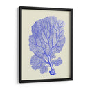 Corales Azules B - Fab Funky | Cuadro decorativo de Canvas Lab
