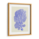 Corales Azules B - Fab Funky | Cuadro decorativo de Canvas Lab