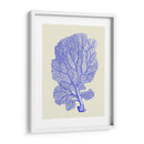 Corales Azules B - Fab Funky | Cuadro decorativo de Canvas Lab