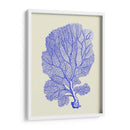 Corales Azules B - Fab Funky | Cuadro decorativo de Canvas Lab