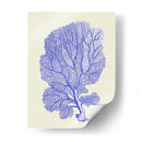 Corales Azules B - Fab Funky | Cuadro decorativo de Canvas Lab