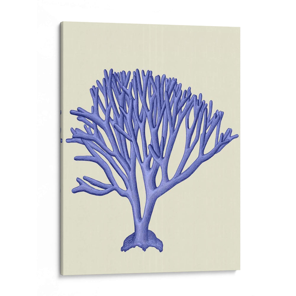 Corales Azules C - Fab Funky | Cuadro decorativo de Canvas Lab