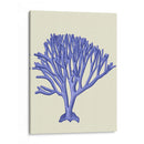 Corales Azules C - Fab Funky | Cuadro decorativo de Canvas Lab