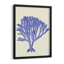 Corales Azules C - Fab Funky | Cuadro decorativo de Canvas Lab