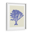 Corales Azules C - Fab Funky | Cuadro decorativo de Canvas Lab