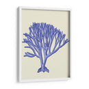 Corales Azules C - Fab Funky | Cuadro decorativo de Canvas Lab