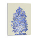 Corales Azules D - Fab Funky | Cuadro decorativo de Canvas Lab