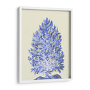 Corales Azules D - Fab Funky | Cuadro decorativo de Canvas Lab