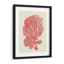 Corales Rojos 1 B - Fab Funky | Cuadro decorativo de Canvas Lab