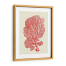 Corales Rojos 1 B - Fab Funky | Cuadro decorativo de Canvas Lab