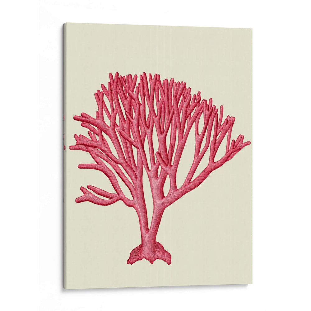 Corales Rojos 1 C - Fab Funky | Cuadro decorativo de Canvas Lab
