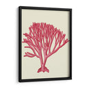 Corales Rojos 1 C - Fab Funky | Cuadro decorativo de Canvas Lab