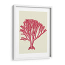 Corales Rojos 1 C - Fab Funky | Cuadro decorativo de Canvas Lab