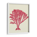 Corales Rojos 1 C - Fab Funky | Cuadro decorativo de Canvas Lab