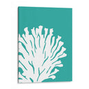 Turquoise Coral Imprime Un - Fab Funky | Cuadro decorativo de Canvas Lab