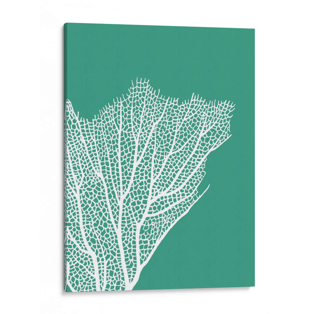 Turquesa Coral Impresiones C - Fab Funky | Cuadro decorativo de Canvas Lab