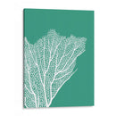Turquesa Coral Impresiones C - Fab Funky | Cuadro decorativo de Canvas Lab