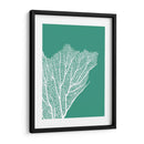 Turquesa Coral Impresiones C - Fab Funky | Cuadro decorativo de Canvas Lab