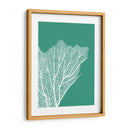 Turquesa Coral Impresiones C - Fab Funky | Cuadro decorativo de Canvas Lab