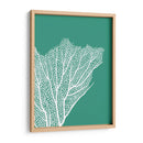 Turquesa Coral Impresiones C - Fab Funky | Cuadro decorativo de Canvas Lab