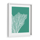 Turquesa Coral Impresiones C - Fab Funky | Cuadro decorativo de Canvas Lab