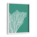 Turquesa Coral Impresiones C - Fab Funky | Cuadro decorativo de Canvas Lab