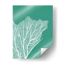 Turquesa Coral Impresiones C - Fab Funky | Cuadro decorativo de Canvas Lab