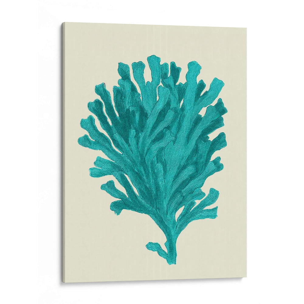 Turquesa De Corales En Crema D - Fab Funky | Cuadro decorativo de Canvas Lab
