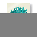 Turquesa De Corales En Crema D - Fab Funky | Cuadro decorativo de Canvas Lab