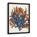 Corales Azules Y Naranjas B - Fab Funky | Cuadro decorativo de Canvas Lab
