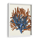 Corales Azules Y Naranjas B - Fab Funky | Cuadro decorativo de Canvas Lab