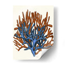 Corales Azules Y Naranjas B - Fab Funky | Cuadro decorativo de Canvas Lab
