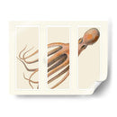 Octopus En 3 Paneles - Fab Funky | Cuadro decorativo de Canvas Lab