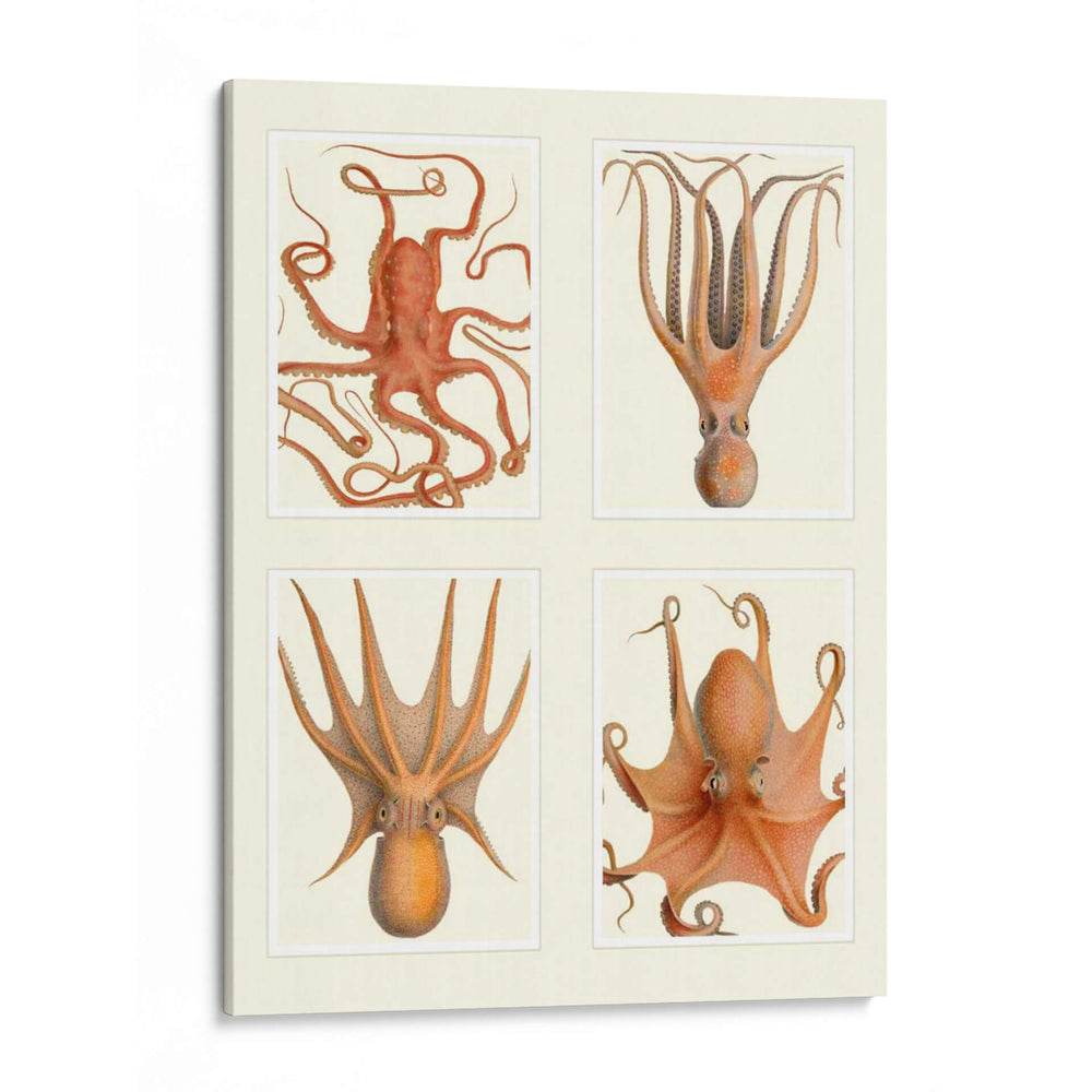 Octopus En 4 Paneles - Fab Funky | Cuadro decorativo de Canvas Lab